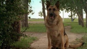 Corner Gas 3. évad Ep.5 5. epizód