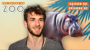 Une saison au zoo 8. évad Ep.7 7. epizód