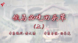 七十二家房客 19. évad Ep.99 99. epizód