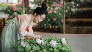 国色芳华 kép