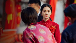 幸福到万家 kép