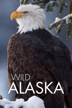Vad vidékek - Alaszka poszter