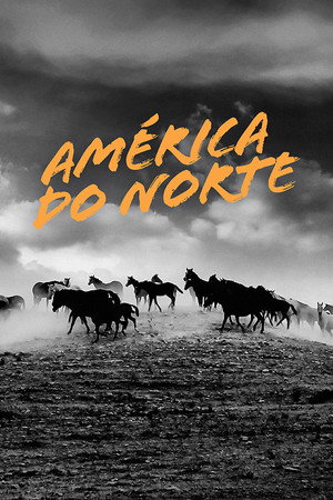North America poszter