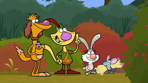 Nature Cat kép