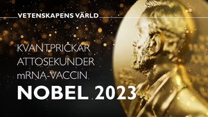 Vetenskapens värld 49. évad Ep.37 37. epizód