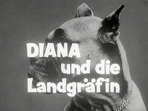 Alle Hunde lieben Theobald 1. évad Ep.2 2. epizód