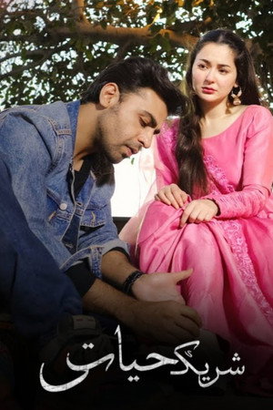 Meray Humsafar poszter