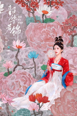 韶华若锦 poszter
