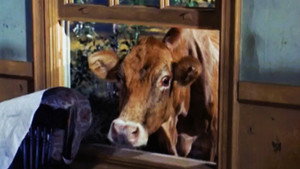 Green Acres 1. évad Ep.4 4. epizód