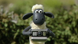Shaun, a bárány 1. évad Ep.15 15. epizód