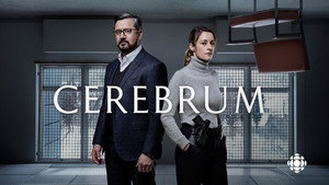 Cerebrum kép