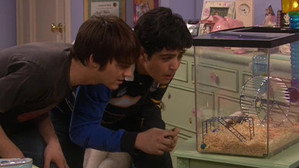 Drake és Josh 4. évad Ep.13 13. epizód