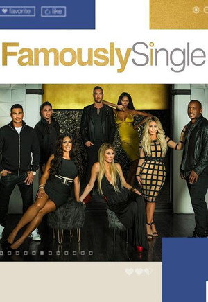 Famously Single 1. évad (2016-06-14) poszter