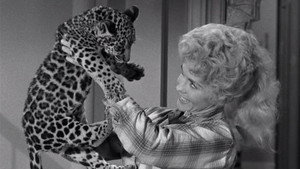 The Beverly Hillbillies 2. évad Ep.25 25. epizód