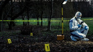 Forensics: The Real CSI kép