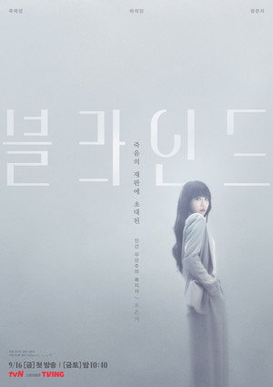 블라인드 poszter