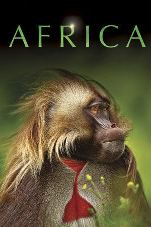A varázslatos Afrika poszter