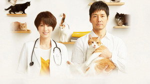 ブランケット・キャッツ kép