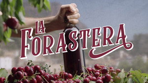 La forastera kép