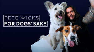 Pete Wicks: For Dogs’ Sake kép