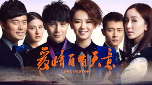 爱情自有天意 kép