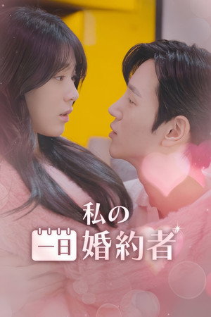 나의 시크릿 파트너 poszter