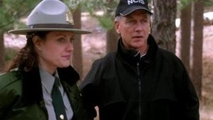 NCIS: Tengerészeti helyszínelők 3. évad Ep.17 A ragadozó