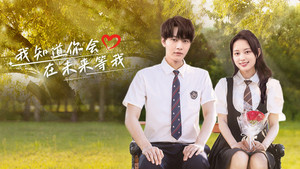 我知道你会在未来等我 kép