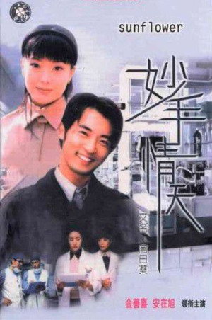 해바라기 poszter