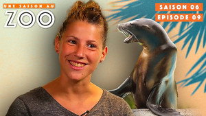 Une saison au zoo 6. évad Ep.9 9. epizód