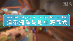斑马百科 25. évad Ep.11 11. epizód