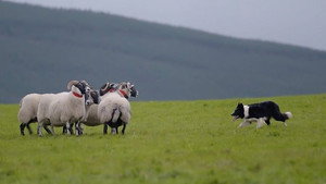 Countryfile 37. évad Ep.40 40. epizód
