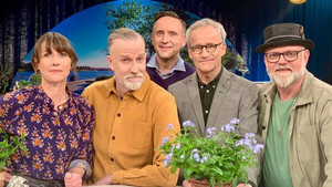 Go'kväll 50. évad Ep.68 68. epizód
