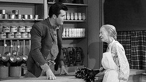 The Beverly Hillbillies 3. évad Ep.3 3. epizód