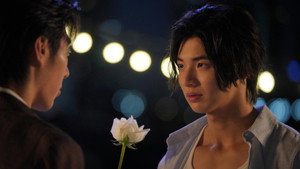 การเกิดใหม่ของดวงดาว kép