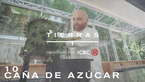 Proyecto Tierras 1. évad Ep.10 10. epizód