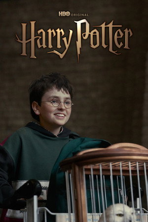 Harry Potter poszter