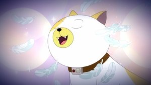 Kalandra fel! Fionna és Cuki 1. évad Ep.3 Cuki, a cica