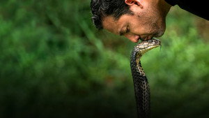 Ezt ne próbáld ki! - Halálos mutatványok David Blaine-nel kép