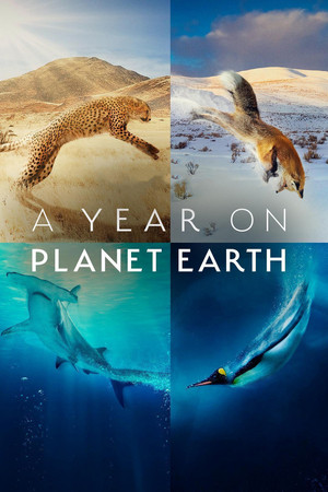 A Year on Planet Earth poszter