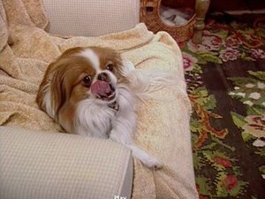 The Osbournes 1. évad Ep.2 2. epizód