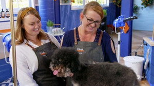 Pooch Perfect 1. évad Ep.1 1. epizód