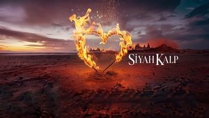 Fekete szív – A Sansalan család titka kép