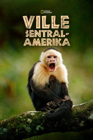 Vad Közép-Amerika poszter