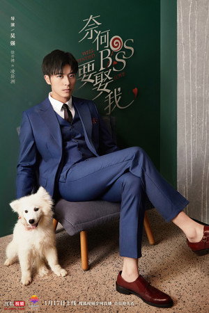 奈何BOSS要娶我 poszter