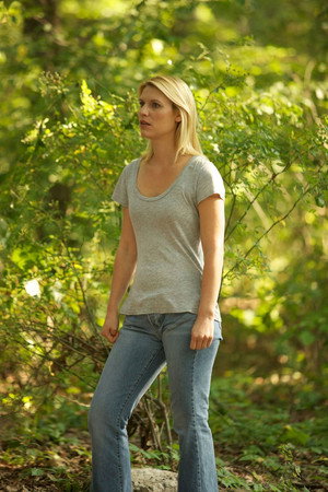 Homeland: A belső ellenség poszter