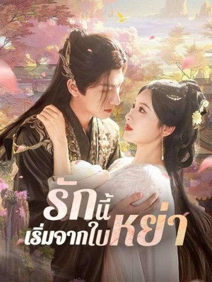 下堂王妃逆袭记 poszter