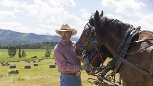 Heartland 7. évad Ep.5 5. epizód