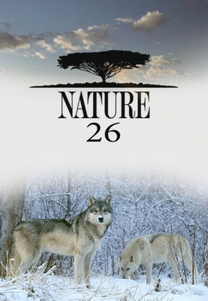 Nature 26. évad (2007-10-28) poszter