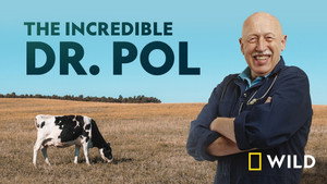 Dr. Pol állatklinikája kép
